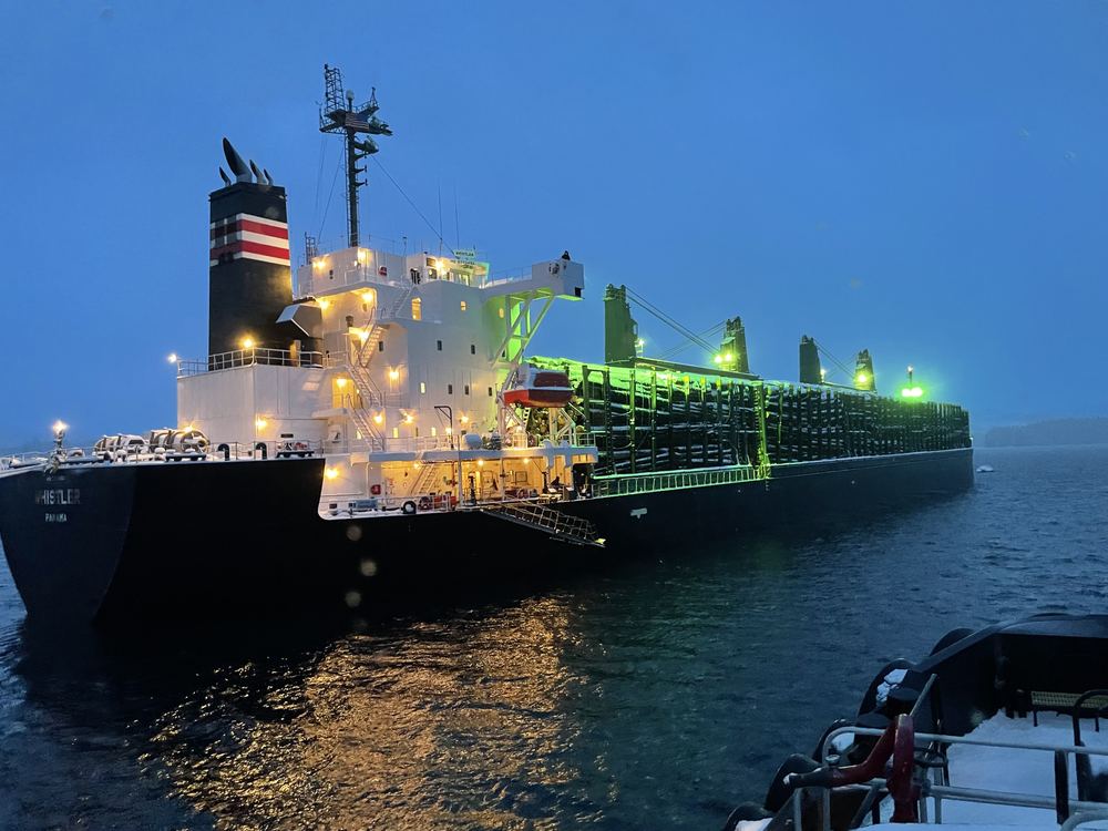 A bulk carrier lit up at dusk near Kodiak